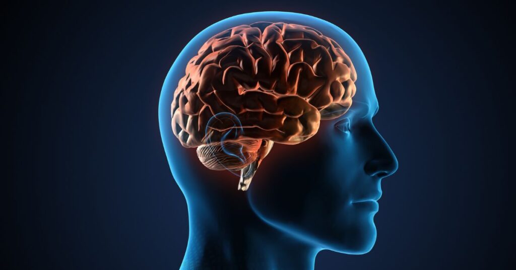 Doenças neurológicas mais comuns e como reconhecê-las