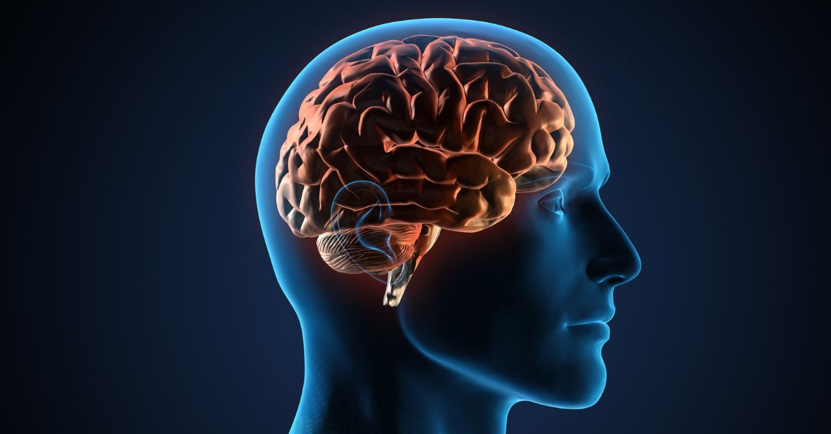 Doenças neurológicas mais comuns: sintomas e prevenção